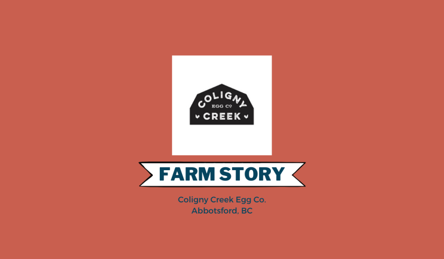 Coligny Creek Egg Co.